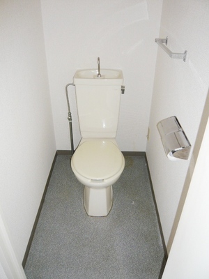 Toilet. In owners of courtesy, It is during the cleaning toilet seat gift! ! 