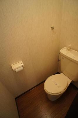 Toilet. Spacious space space!