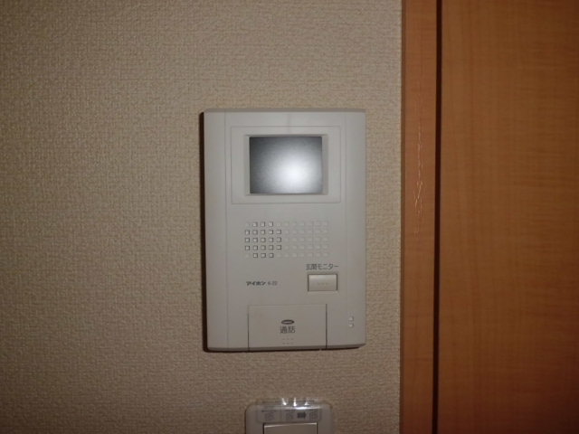 Security. Interphone with a monitor