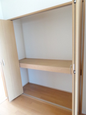 Other Equipment. Closet with depth! It organized a breeze to put even storage box