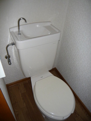 Toilet. It will slowly relax with a clean toilet