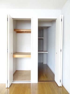 Receipt. Closet with depth! It organized a breeze to put even storage box