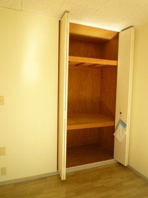 Other Equipment. Closet with depth! It organized a breeze to put even storage box