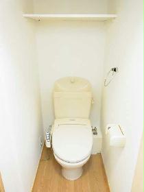 Toilet. Current state priority