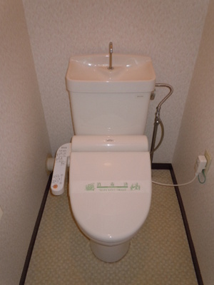 Toilet. Toilet