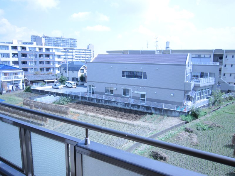 Balcony. View from the veranda