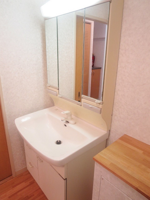 Washroom. Popular independent wash basin