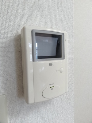 Security. Intercom with TV monitor