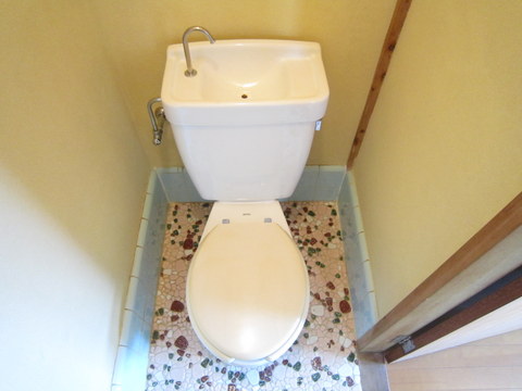 Other. Toilet