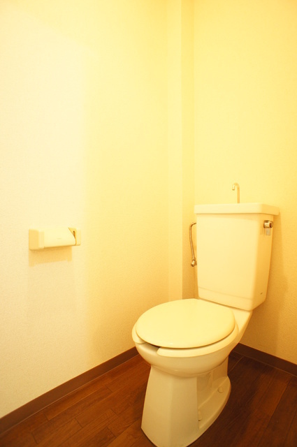 Toilet. For a spacious and comfortable, I do not want tightness!