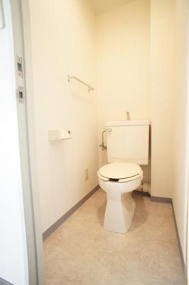 Toilet. A spacious and comfortable!