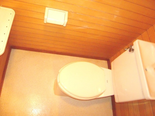 Toilet.  Separate toilet