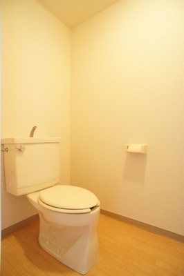 Toilet. Toilet is also wide!