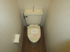 Toilet. Toilet