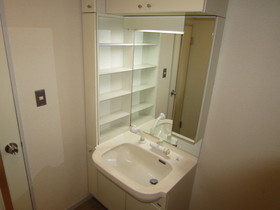 Washroom. Shower dresser of a large mirror