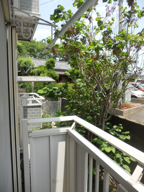 Balcony. Balcony