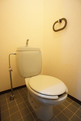 Toilet. Convenient independent with wash basin in the morning of preparation