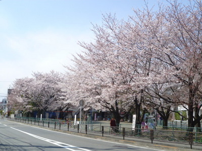 park. 130m to Noborito first park (park)