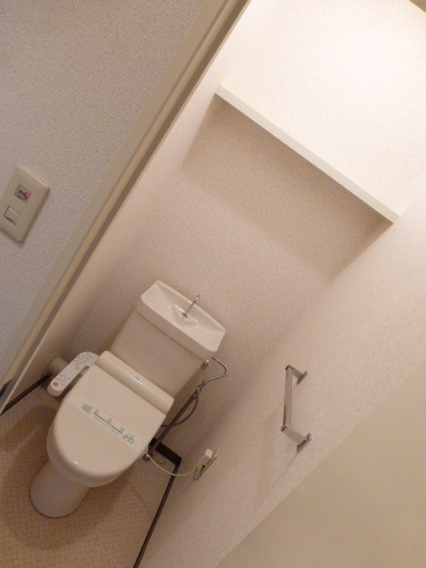 Toilet. Toilet