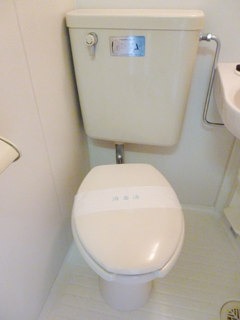 Toilet. Toilet