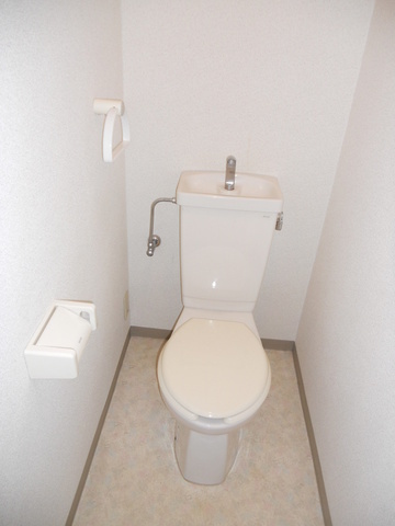 Toilet. Toilet with a clean right