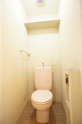 Toilet. Loose wide toilet space, There is also a top storage!