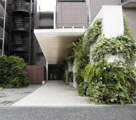 Local appearance photo. Property appearance