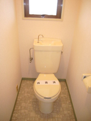 Toilet. With a clean toilet, A comfortable life