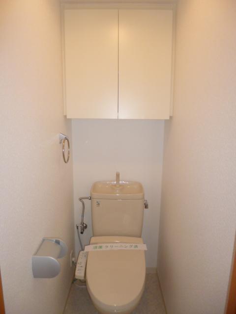 Toilet. Shower toilet