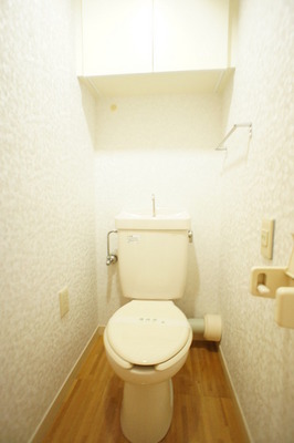 Toilet. Loose wide toilet space, There is also a top storage!