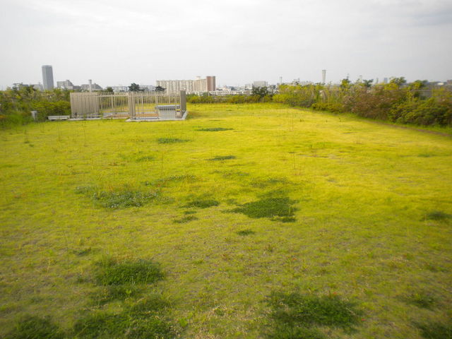 Other common areas. rooftop