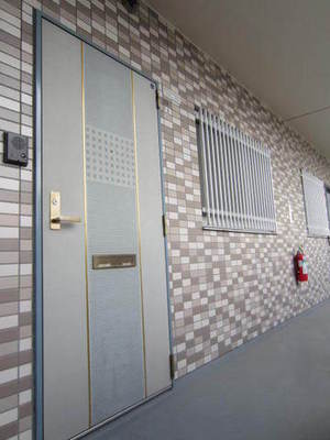 Other common areas. Entrance door