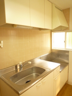 Kitchen. Two-burner stove installation Allowed Kitchen! 