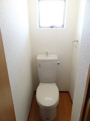 Toilet. Spacious space space!