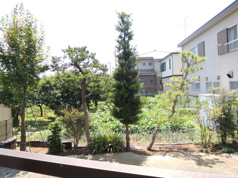 Balcony. Veranda