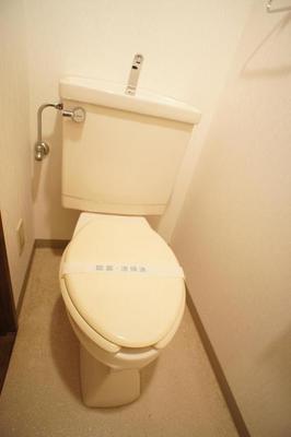 Toilet. Western-style toilet. It is a toilet with a clean of. 