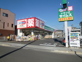 Other. Drag Seimusu Samukawa until Station Pharmacy (Other) 817m