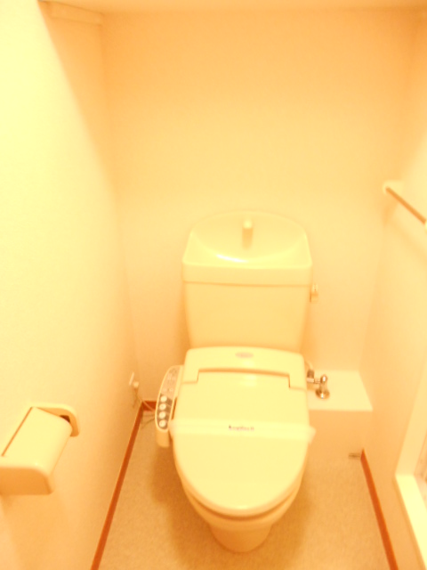 Toilet. It is comfortable in the warm water wash with toilet seat