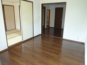 Living and room. South-facing Western-style