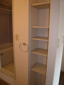 Washroom. Washroom shelf
