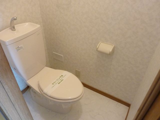 Toilet. With power