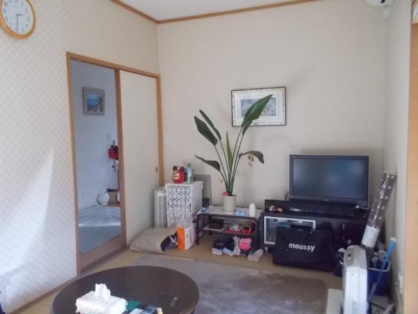 Other introspection. Japanese style room