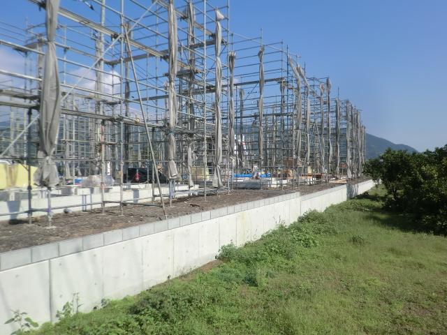 Other local. Local (10 May 2013) Shooting