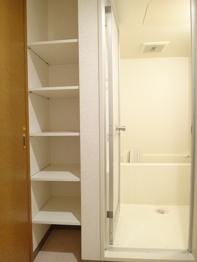 Washroom. Shelf of washroom