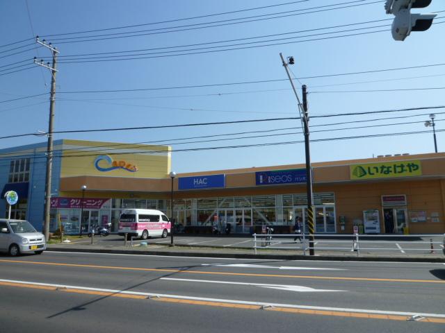 Shopping centre. Pashiosu Inageya Co., Ltd. Lined with shops of 4800m wide assortment to HAC. 