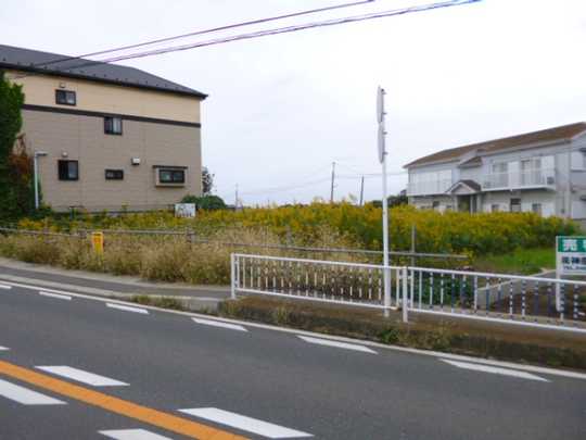Local land photo. Miura Misakimachimoroiso selling land