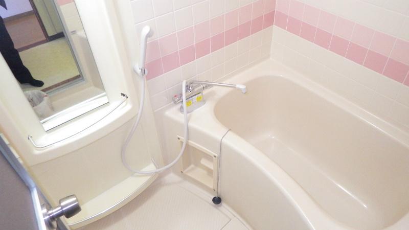 Bathroom. Reheating function with a bathroom