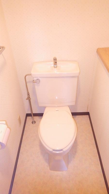 Toilet. Beautiful toilet