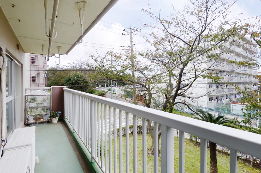 Balcony. ◇ in the spring offer cherry blossoms