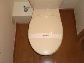 Toilet. It might be slightly different from the real thing